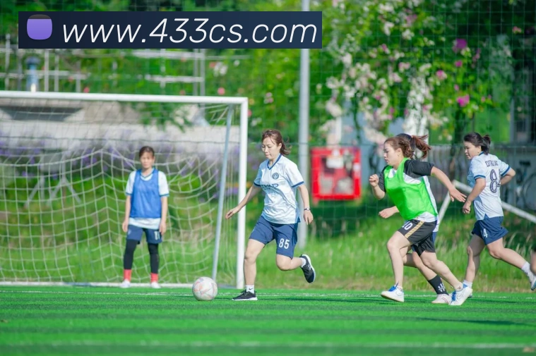 彩神平台生态图